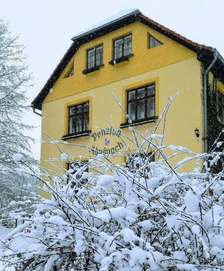 Penzion Adrspach U Bary Hotel Kültér fotó